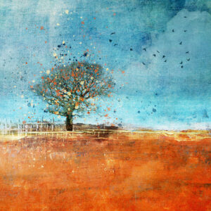 Diana Jane Fine Art Prints