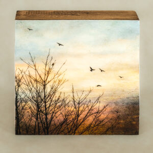 Diana Jane Gifts